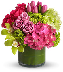 New Sensations from Martinsville Florist, flower shop in Martinsville, NJ